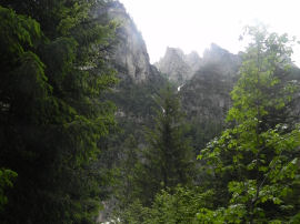 Panorama in Val Canali (31438 bytes)